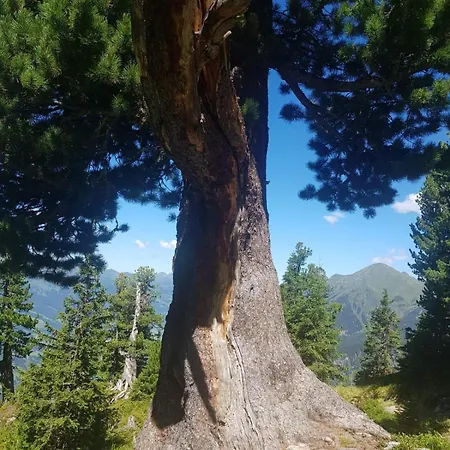 Appartement Alpenkoenig