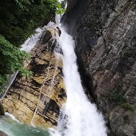 Alpenkoenig *