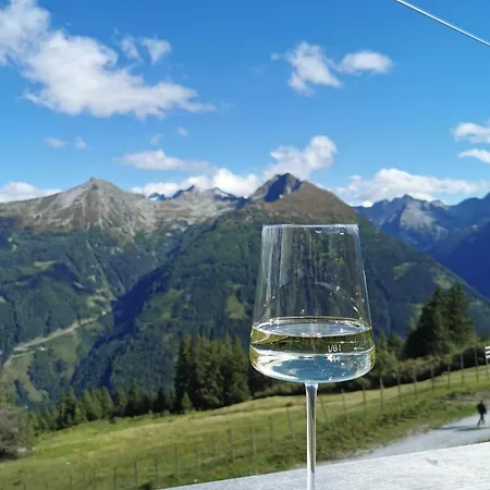Appartement Alpenkoenig Bad Gastein