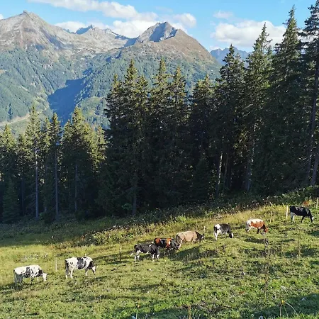 Alpenkoenig